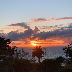 Meet your Posher, Sophie